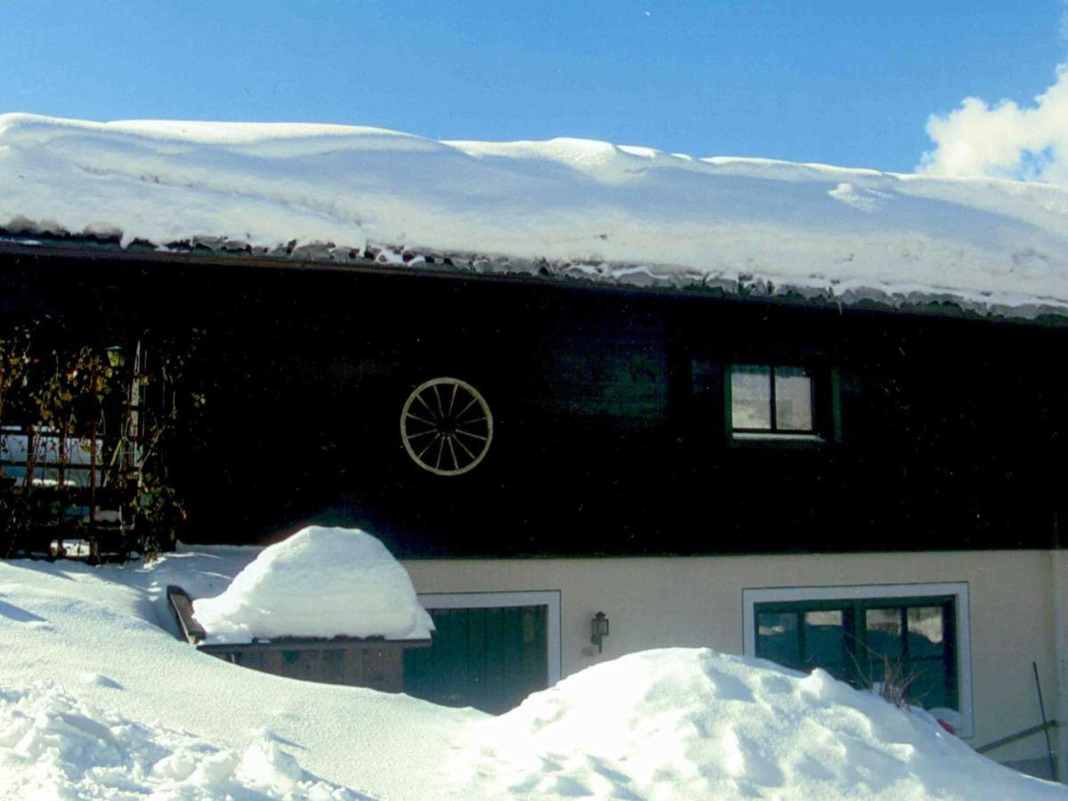 Chalet In Leogang Salzburg With Garden Zewnętrze zdjęcie